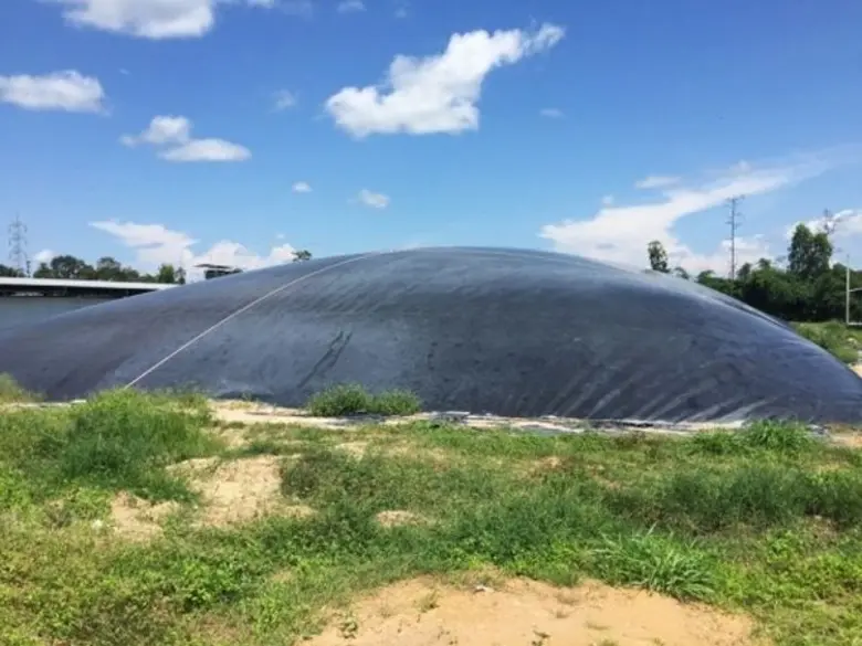 เกษตรกรเลี้ยงหมูยุค 4.0 ใช้เทคโนโลยีสร้างมาตรฐานการผลิต