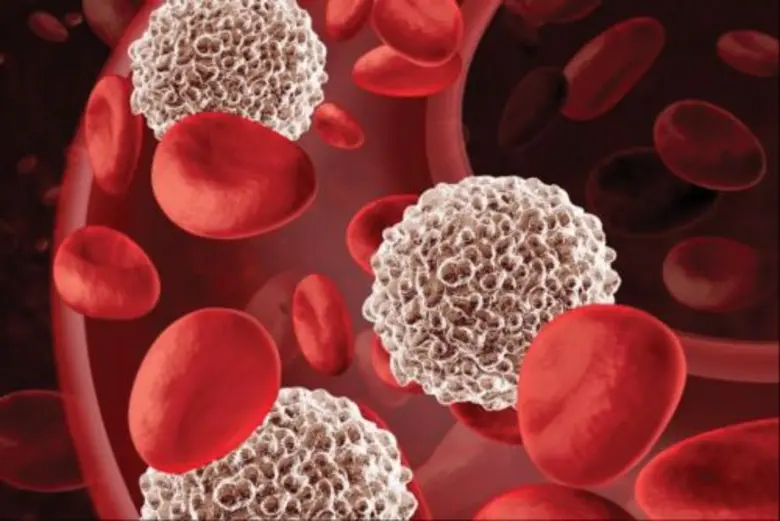 24 ปี งานวิจัยฝีมือคนไทย “เบต้ากลูแคน” ฮีโร่ เสริม สร้าง ซ่อม เม็ดเลือดขาว ช่วยคนไทยห่างไกลโรคร้าย