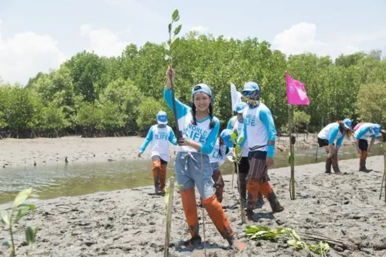 ดิสนีย์คลับ พาเกาะติดกิจกรรม ปันรัก ชวนอนุรักษ์ป่าชายเลน ชมภาพประทับใจในวันเสาร์ที่ 6 พฤษภาคมนี้ เวลา 06.15น.