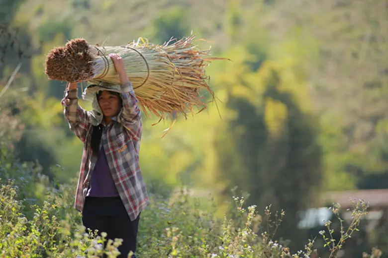 รายการ "สานรัก คนเก่งหัวใจแกร่ง" อาทิตย์น...