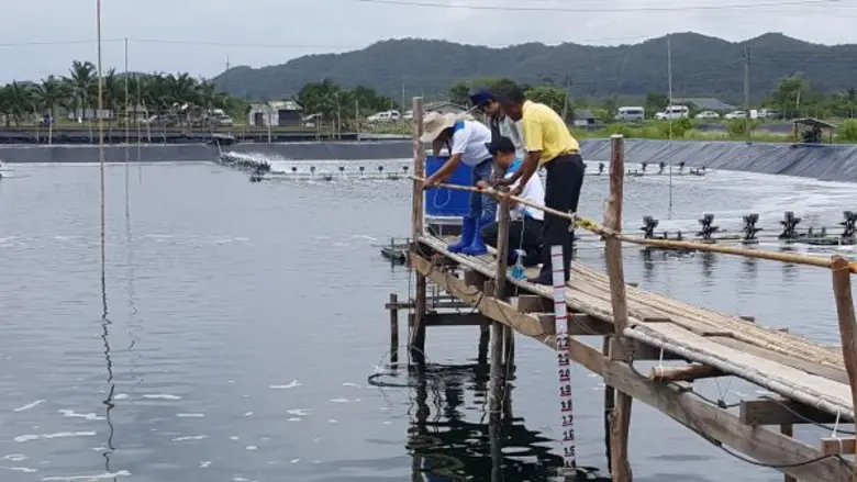 สหกรณ์เพาะเลี้ยงสัตว์น้ำจังหวัดตรัง ได้ลง...