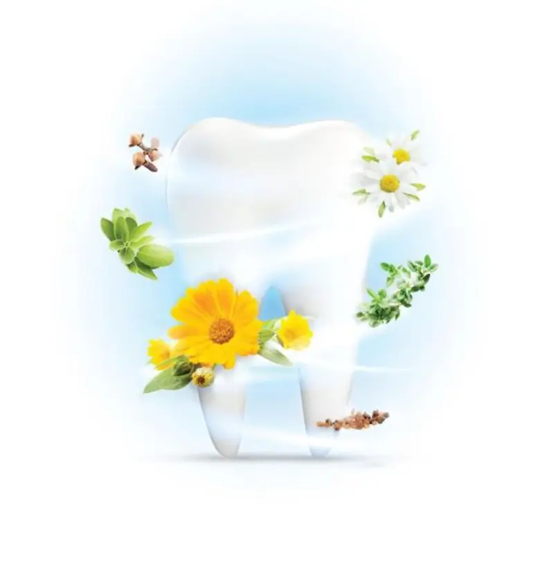 ออร์แกนิค สิ่งดีๆ จากธรรมชาติ เพื่อคนรักสุขภาพ เริ่มได้ตั้งแต่สุขภาพปากและฟัน ด้วยนวัตกรรม “Organic Swiss calendula”