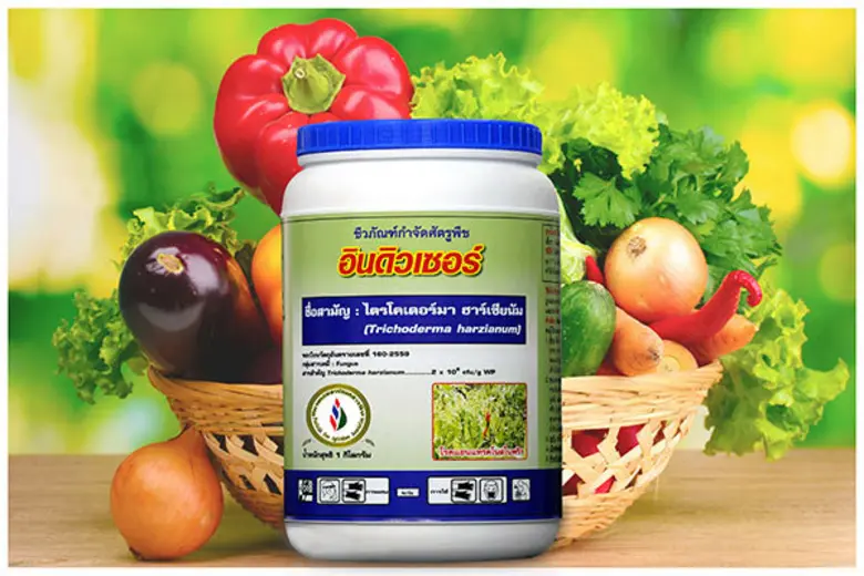 ชมรมเกษตรปลอดสารพิษ ภายใต้บริษัท ไทยกรีน ...