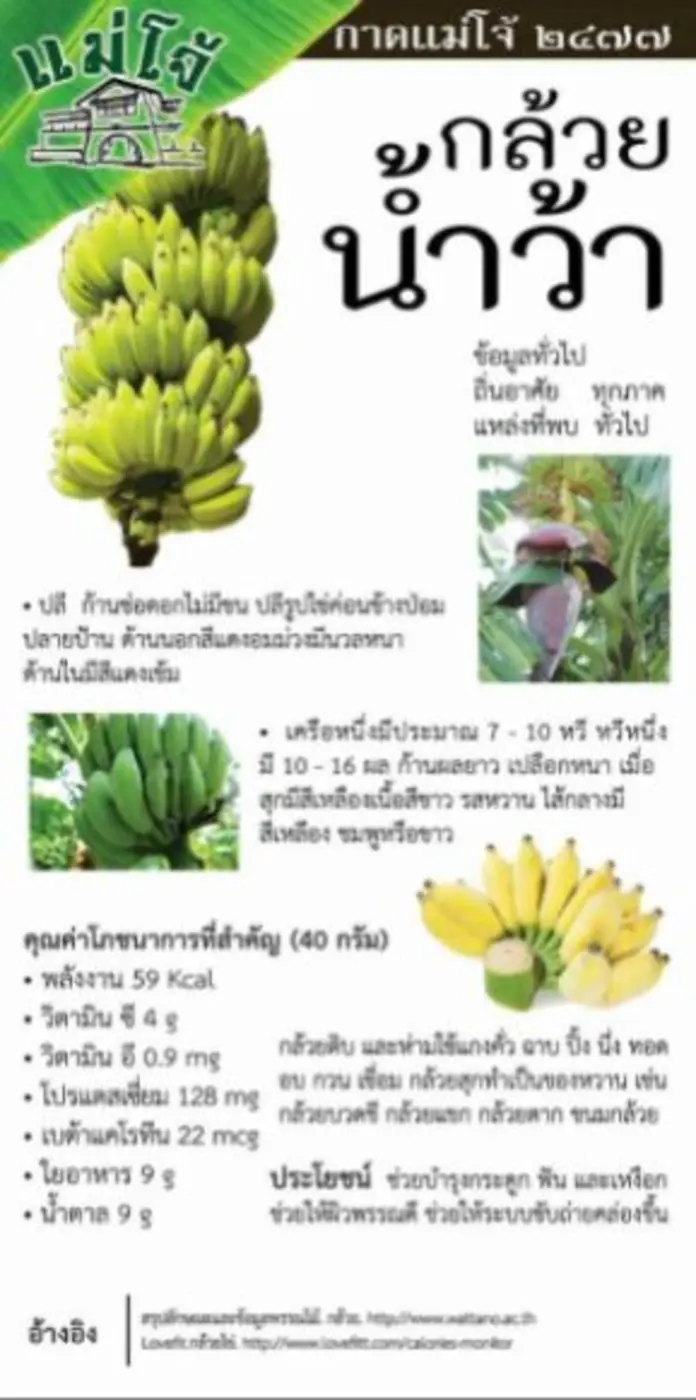 กาดแม่โจ้ 2477 วันศุกร์-เสาร์ นี้ มีแต่เรื่อง..กล้วยๆ