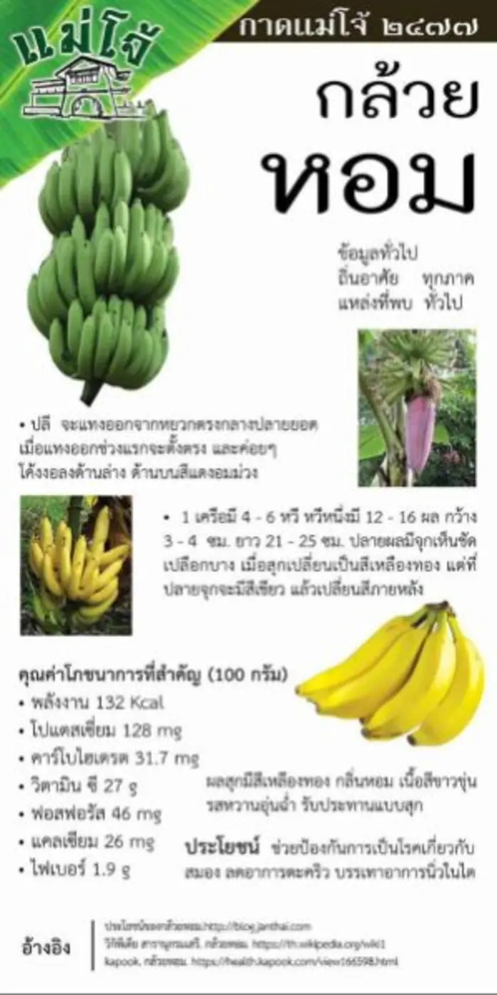 กาดแม่โจ้ 2477 วันศุกร์-เสาร์ นี้ มีแต่เรื่อง..กล้วยๆ