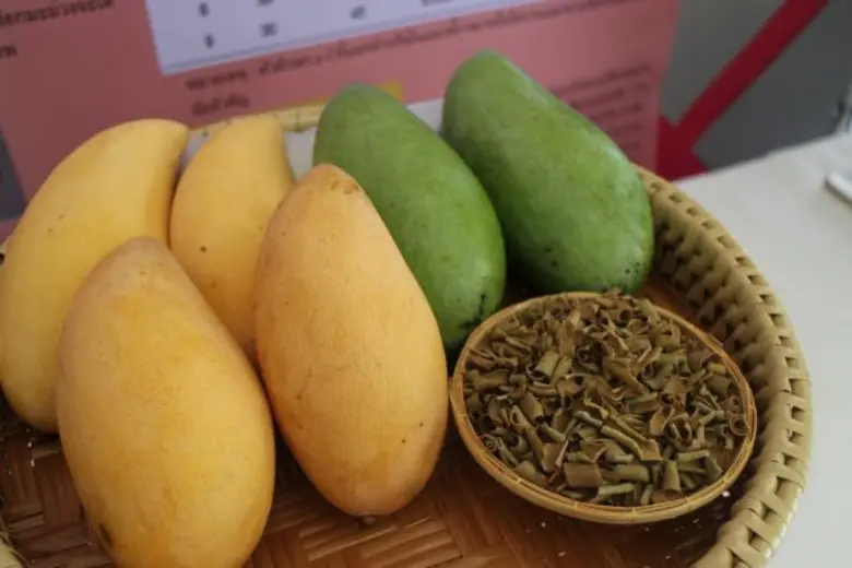 เปลือกมะม่วงกินเสร็จอย่าทิ้ง ทำชาดื่มเพื่อสุขภาพ