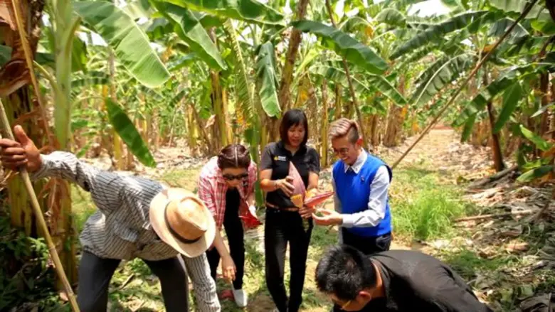 ทีวีไกด์: รายการ “ครัวลั่นทุ่ง” “น้ำผึ้ง ณัฐริกา” ตะลุยดงกล้วย ตามหา “หัวปลี” ปรุงเมนูเด็ด “แกงหยวกกล้วย”