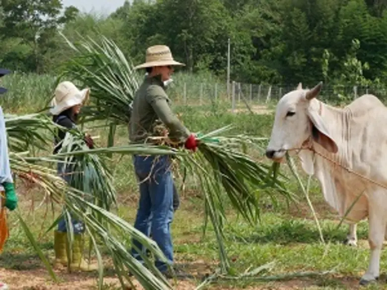 เป็นนักแสดงหนุ่มที่น้อมนำปรัชญาเศรษฐกิจพอ...