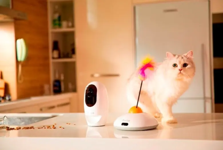 เอเซอร์ ลุยตลาดเพ็ทเลิฟเวอร์ เปิดตัว Pawb...