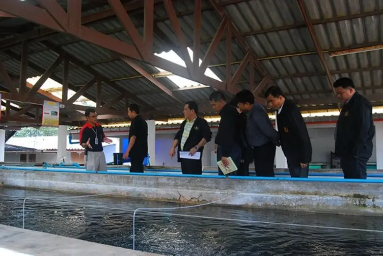 งบฟื้นฟูอาชีพ คืบหน้า สมาชิก กฟก.ขอรับงบการสนับสนุนประมาณกว่า 52 ล้านบาท