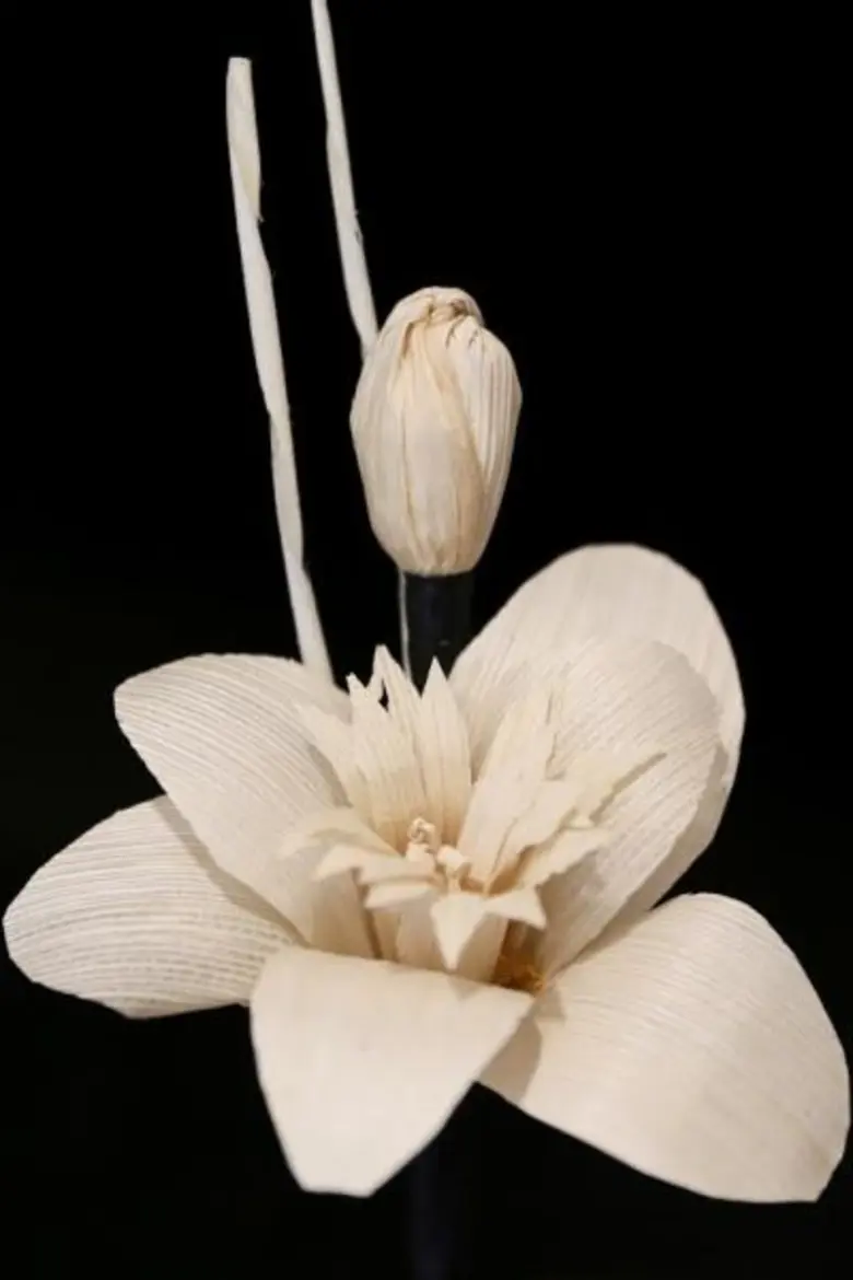 พันธมิตรพลังสยามชวนจิตอาสาร่วมประดิษฐ์ดอกไม้จันทน์ ถวายในพระราชพิธีถวายพระเพลิงพระบรมศพ พระบาทสมเด็จพระปรมินทรมหาภูมิพลอดุลยเดช