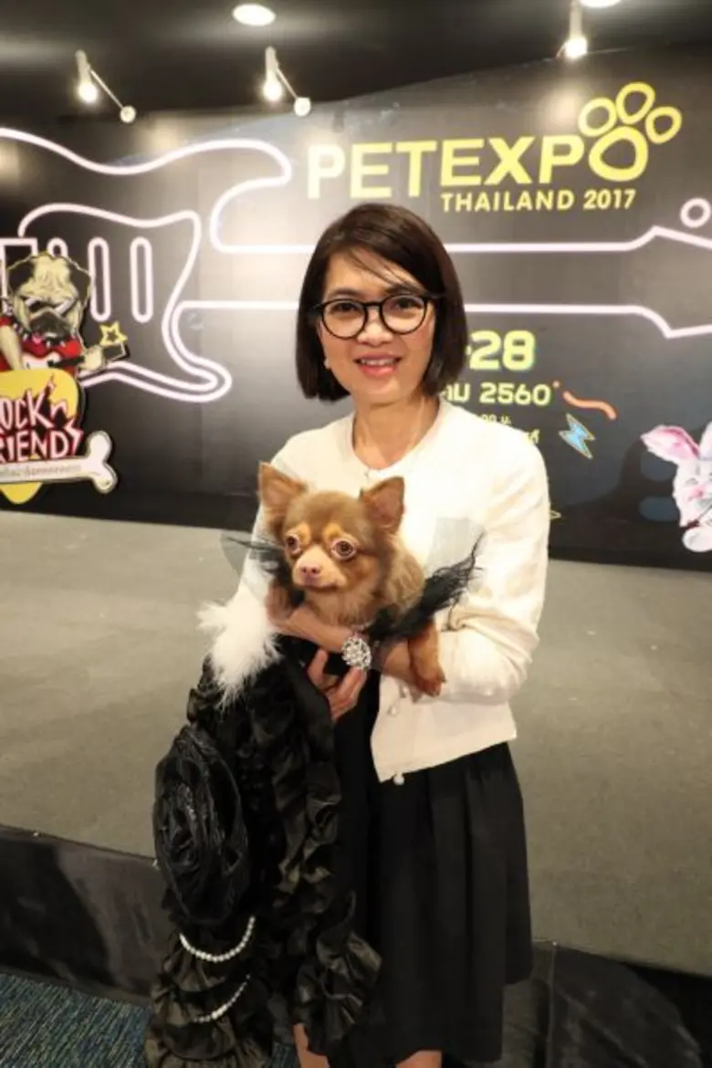 บริษัท เอ็น.ซี.ซี. เอ็กซิบิชั่น ออกาไนเซอ...