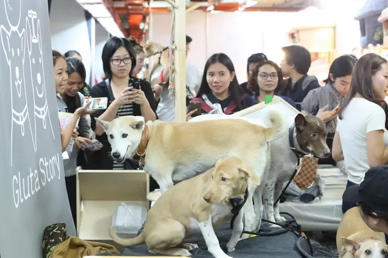 บริษัท เอ็น.ซี.ซี. เอ็กซิบิชั่น ออกาไนเซอ...