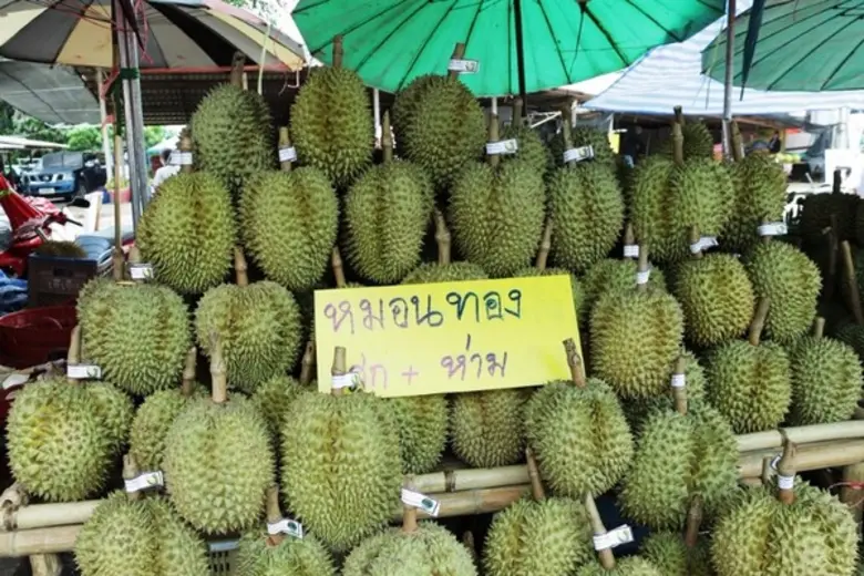 ททท. ท้าคนไทยเที่ยวข้ามถิ่น กินข้ามภาค เยือนถิ่นผลไม้ภาคตะวันออก ในงานเทศกาลผลไม้และของดีจังหวัดระยอง ปี ๒๕๖๐