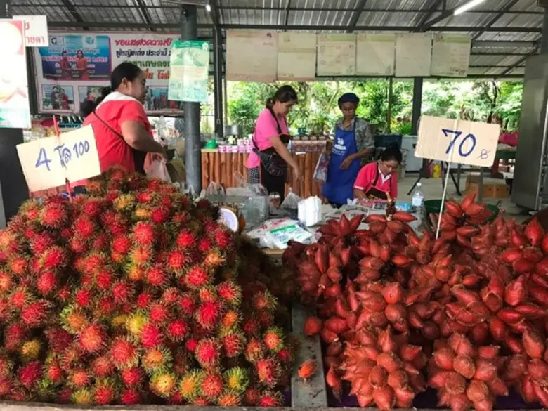 ททท. ท้าคนไทยเที่ยวข้ามถิ่น กินข้ามภาค เยือนถิ่นผลไม้ภาคตะวันออก ในงานเทศกาลผลไม้และของดีจังหวัดระยอง ปี ๒๕๖๐