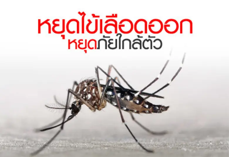 สำนักงานป้องกันควบคุมโรคที่ 10 จ.อุบลราชธ...