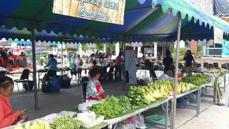 สหกรณ์การเกษตรลำพระเพลิง จำกัด เปิดตลาดนัดเพื่อเกษตรกรสนับสนุนสินค้าเกษตรปลอดภัย