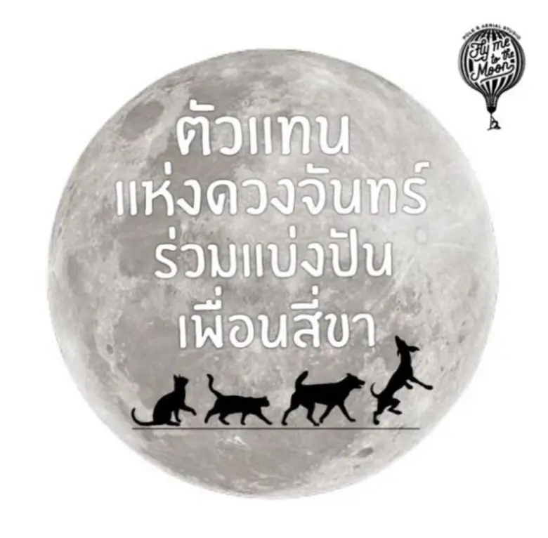 สตูดิโอออกกำลังสายแอเรียล จับมือ 5 ครูโยค...