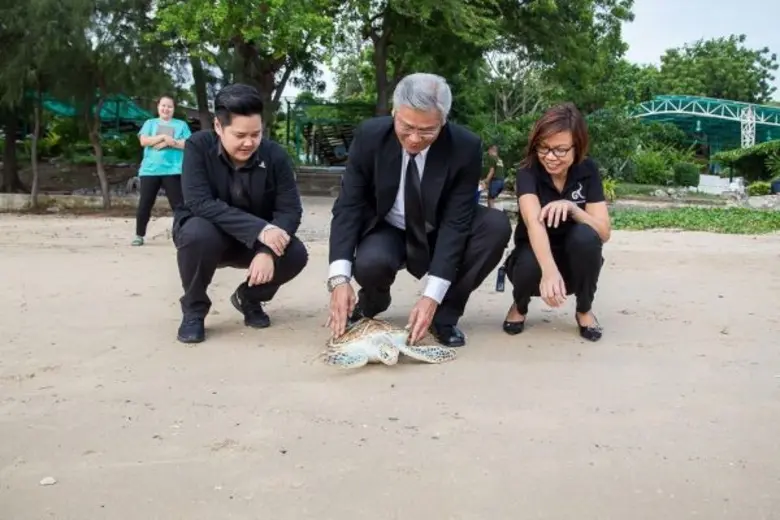 ปตท.สผ. สนับสนุนอุปกรณ์และเครื่องมือทางการแพทย์ เพิ่มศักยภาพในการรักษาพยาบาลเต่าทะเล