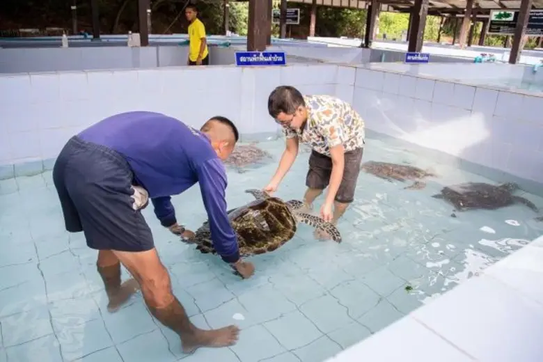 ปตท.สผ. สนับสนุนอุปกรณ์และเครื่องมือทางการแพทย์ เพิ่มศักยภาพในการรักษาพยาบาลเต่าทะเล