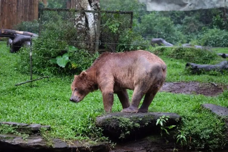 3 เยาวชน “เพาเวอร์กรีนปีที่ 11” ตะลุยศึกษาความหลากหลายทางชีวภาพในอินโดนีเซีย แบ่งปันการเรียนรู้การอนุรักษ์พันธุ์พืช-สัตว์หายาก ปูพื้นฐานการพัฒนาที่ยั่งยืน