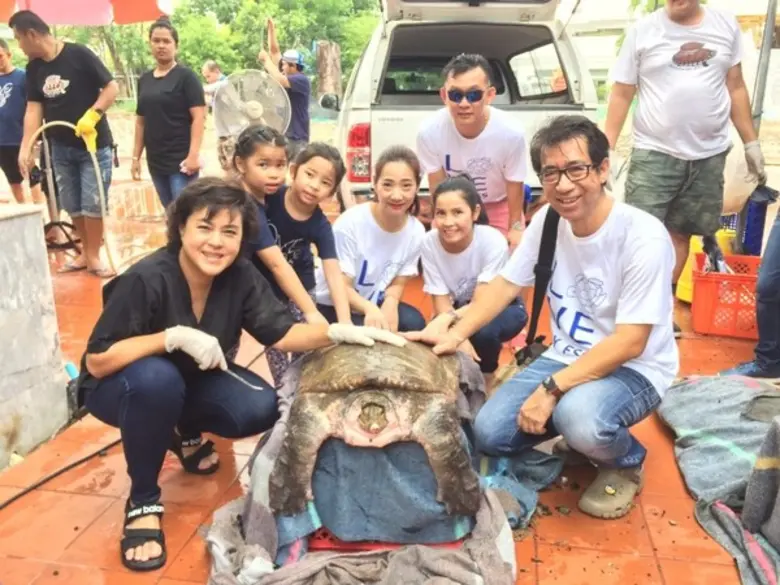 โครงการคืนชีวิตเต่าสู่ธรรมชาติ กับฟินันเซีย ไซรัส