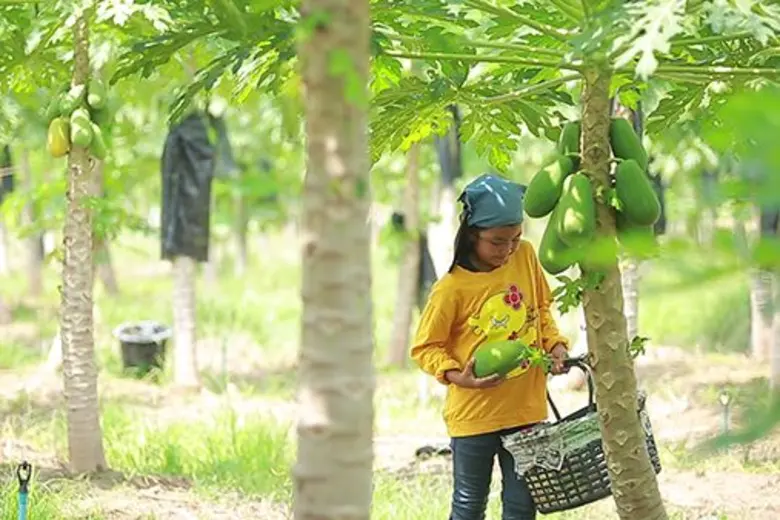 รายการ "สานรัก คนเก่งหัวใจแกร่ง" อาทิตย์น...