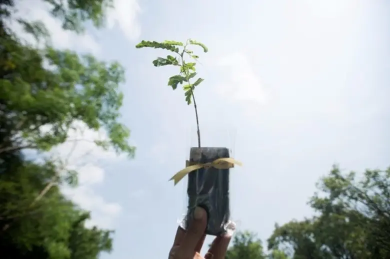 งานสถาปนิก’60 ไม่มีอะไรสูญเปล่า คืนกลับสู่สังคม