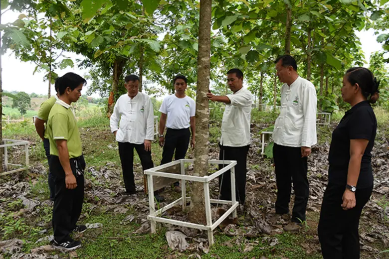 ระหว่างวันที่ 31 พฤษภาคม 2560 ถึงวันที่ 2...