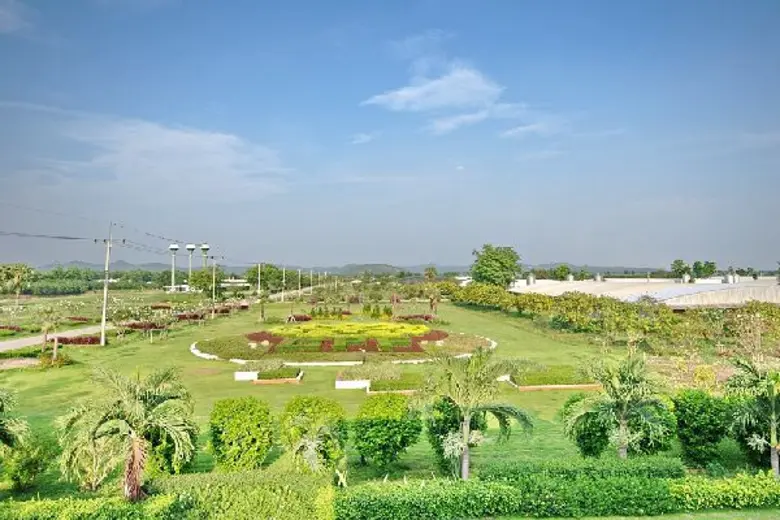 องค์การสหประชาชาติประกาศให้ วันที่ 5 มิถุ...