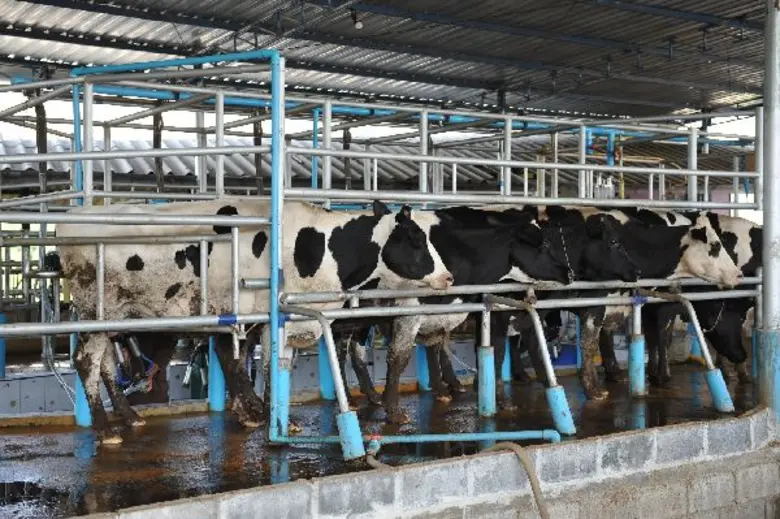 “โฟร์โมสต์” ฉลองครบรอบ 60 ปีแห่งการเป็นผู้นำตลาดนมพร้อมดื่มในไทย ประกาศวิสัยทัศน์มุ่งส่งมอบนมโคคุณภาพ 100% ผลักดันอุตสาหกรรมนมไทยให้มีศักยภาพเพื่อแข่งขันในตลาดการค้าเสรี