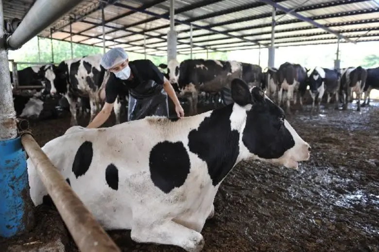 “โฟร์โมสต์” ฉลองครบรอบ 60 ปีแห่งการเป็นผู้นำตลาดนมพร้อมดื่มในไทย ประกาศวิสัยทัศน์มุ่งส่งมอบนมโคคุณภาพ 100% ผลักดันอุตสาหกรรมนมไทยให้มีศักยภาพเพื่อแข่งขันในตลาดการค้าเสรี