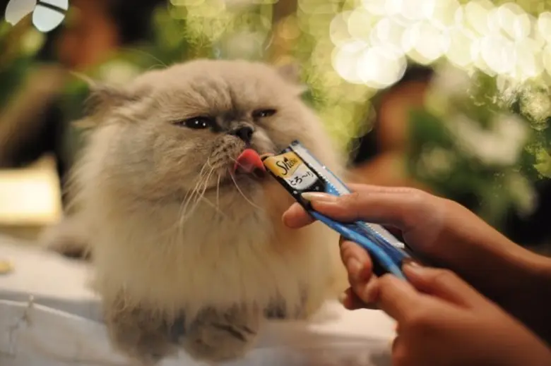 คุณจิตติมา พูลชัยวิไลศักดิ์ ผู้จัดการทั่ว...