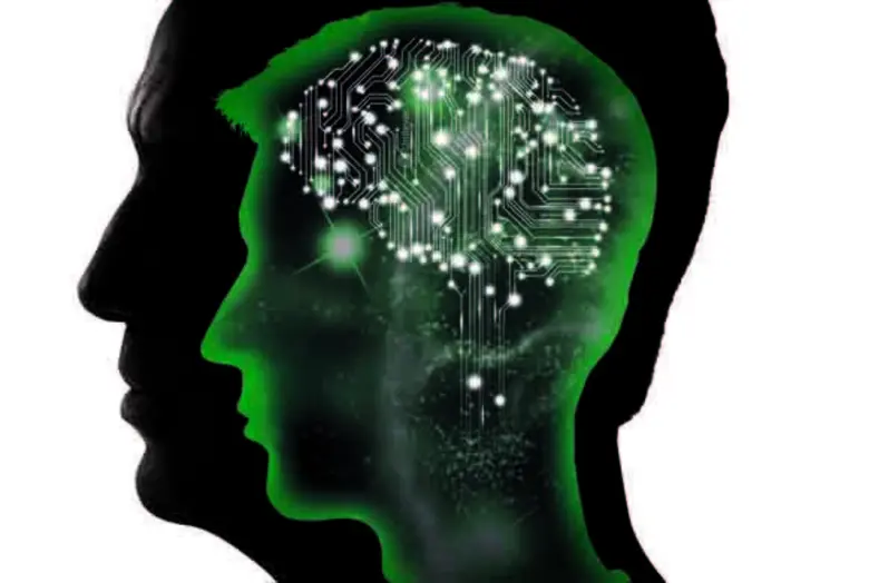 สมองเป็นอวัยวะทรงพลังช่วยจดจำประสบการณ์ทำ...