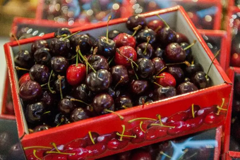 วัชมนฟู้ด เดินทัพจัดงานใหญ่ “มหกรรมผลไม้เกรดพรีเมี่ยมราคาสุดช็อค!” พร้อมเปิดตัวโลโก้ใหม่ “แอปเปิ้ลแจ๊ส”โฉมใหม่...อร่อยกว่าเดิม