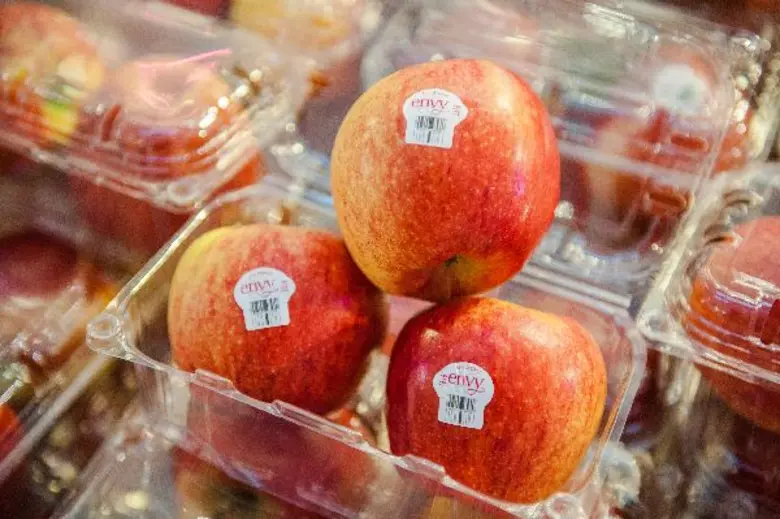 วัชมนฟู้ด เดินทัพจัดงานใหญ่ “มหกรรมผลไม้เกรดพรีเมี่ยมราคาสุดช็อค!” พร้อมเปิดตัวโลโก้ใหม่ “แอปเปิ้ลแจ๊ส”โฉมใหม่...อร่อยกว่าเดิม