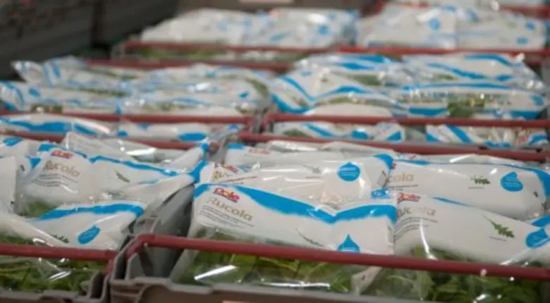 ธุรกิจในเครือของบริษัท โดล ฟู้ด คอมพานี อ...