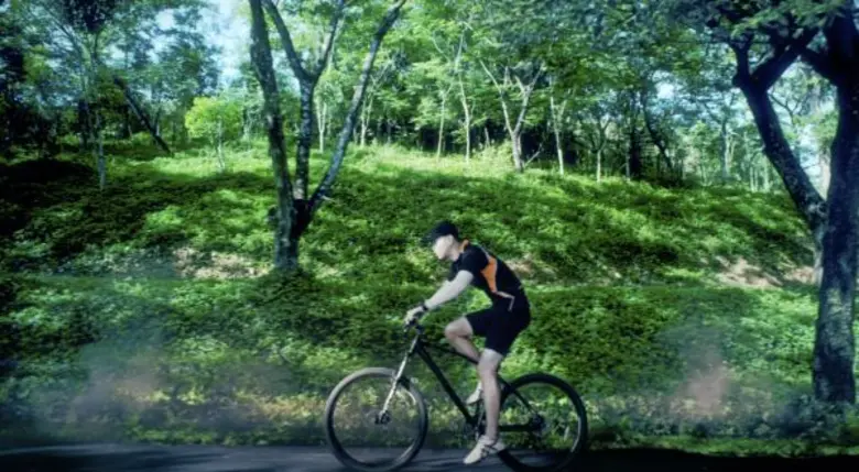 "สวอนเลค เรสซิเด้นซ์ เขาใหญ่" คอนโดมิเนีย...