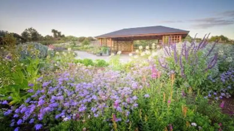 ฤดูใบไม้ผลิในนิวซีแลนด์เริ่มตั้งแต่เดือนก...