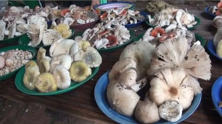 สำนักงานป้องกันควบคุมโรคที่ 10 จ.อุบลราชธ...