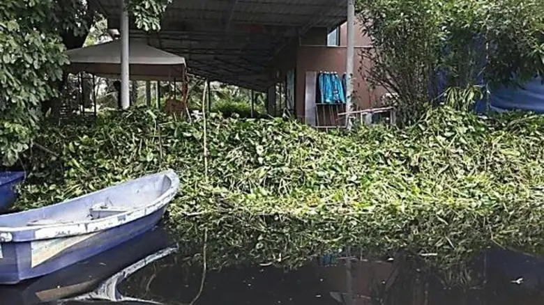 วันที่ 14 มิถุนายน 2560 ศูนย์ป้องกันและบร...