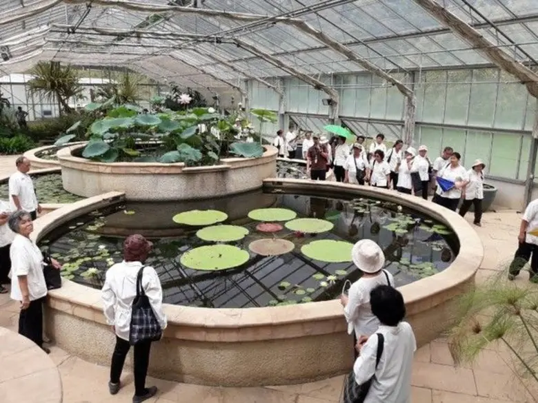 นำผู้สูงอายุในโครงการโรงเรียนหนองผึ้งอายุวัฒน์วิทยา จำนวน 150 คน เข้าเยี่ยมชมการอนุรักษ์ทรัพยากรพรรณพืช ภายในสวนพฤกษศาสตร์สมเด็จพระนางเจ้าสิริกิติ์ อำเภอแม่ริม