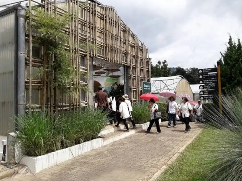 นำผู้สูงอายุในโครงการโรงเรียนหนองผึ้งอายุวัฒน์วิทยา จำนวน 150 คน เข้าเยี่ยมชมการอนุรักษ์ทรัพยากรพรรณพืช ภายในสวนพฤกษศาสตร์สมเด็จพระนางเจ้าสิริกิติ์ อำเภอแม่ริม