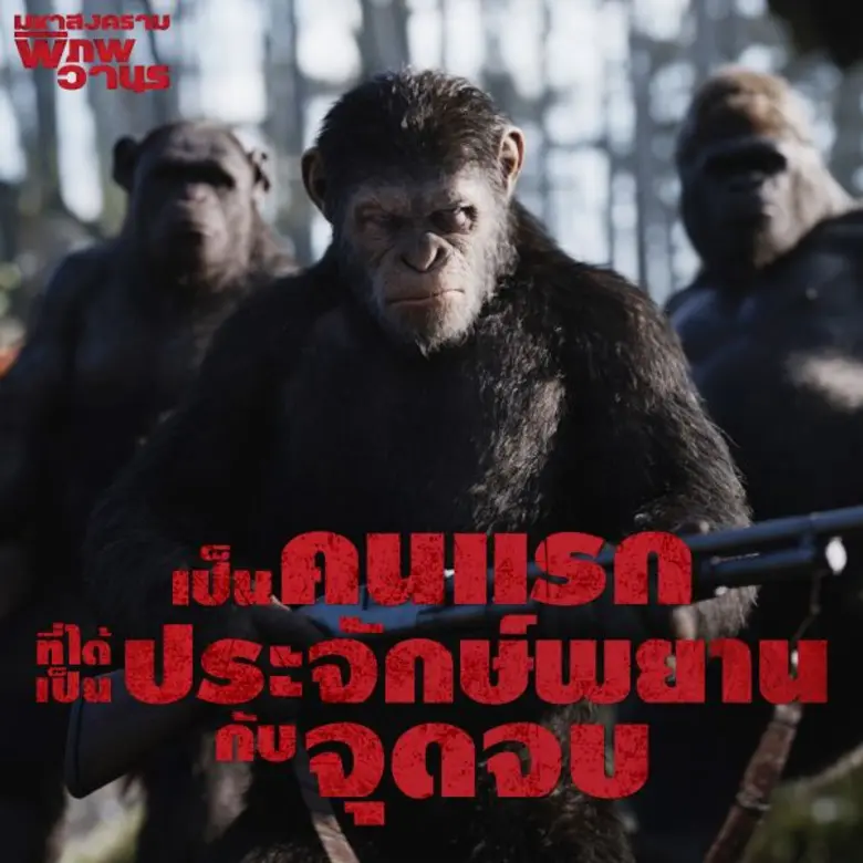 ปล่อยมาอีกแล้ว สำหรับภาพยนตร์เรื่อง War f...