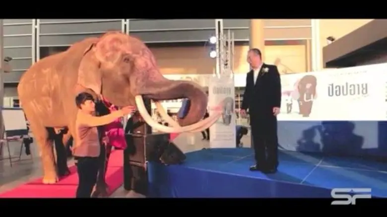 โรงภาพยนตร์ เอส เอฟ ซีเนม่า จัดงาน "POP A...