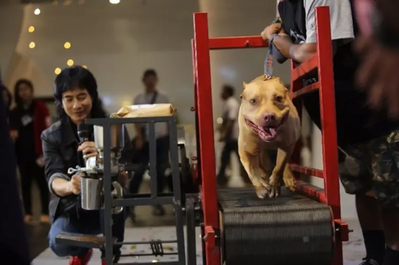 คึกคักตั้งแต่วันแรกสำหรับงาน "สมาร์ทฮาร์ท...