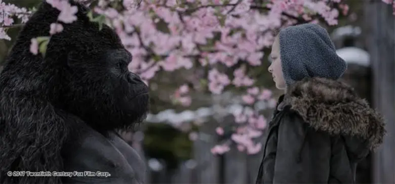 ส่งตัวอย่างใหม่ออกมากให้แฟน ๆ ชาวไทยได้ชม...