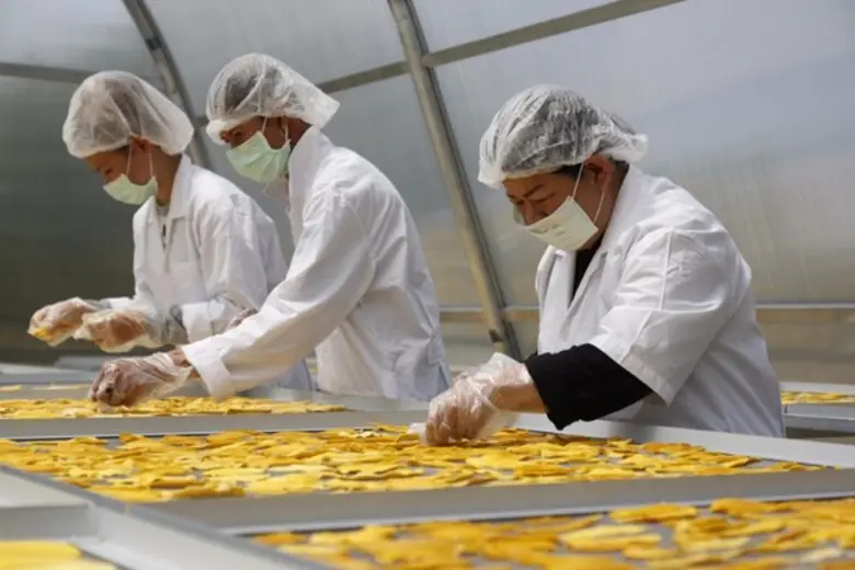 เปิดตัว “Sustainable Food Lab Thailand” แล็บอาหารยั่งยืน ครั้งแรกในประเทศไทย