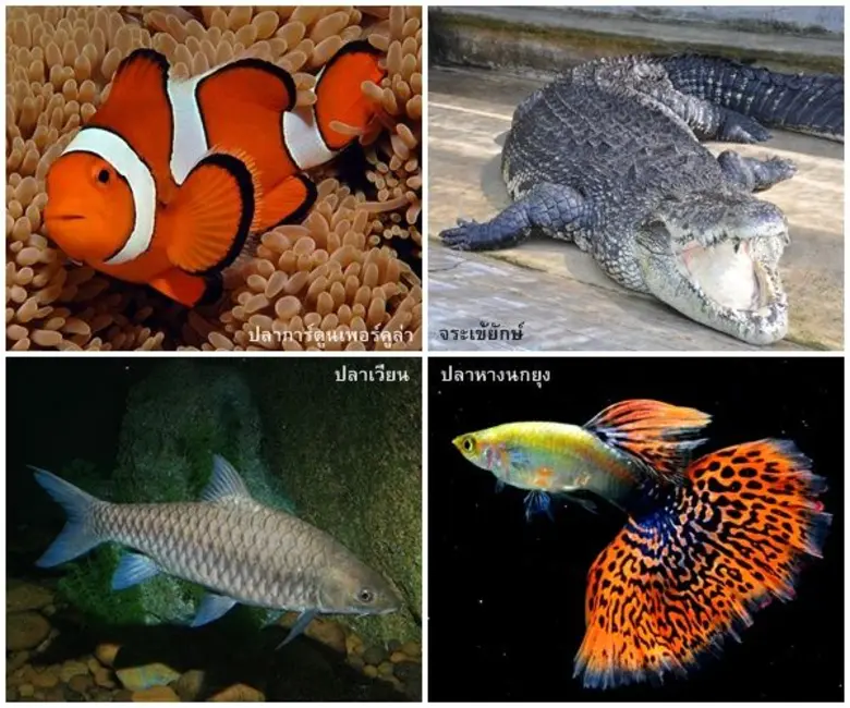 ศูนย์การค้าฟิวเจอร์พาร์คและสเปลล์ ร่วมกับ...