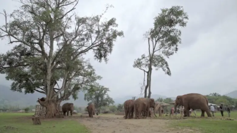 “เที่ยวไทย สไตล์ยั่งยืน” ตีแผ่ความสำเร็จของโมเดลธุรกิจจากแนวคิดพ่อ